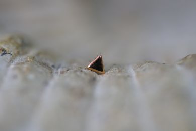 Small Triangle (Option: Rose Gold)