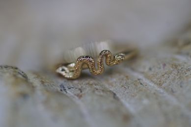 Fixed Snake Ring (Option: Yellow Gold Outward facing)