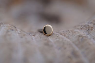 Threaded Gold Disks (Option: Yellow Gold 4mm 18/16g threaded)